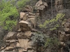 -望峪山庄