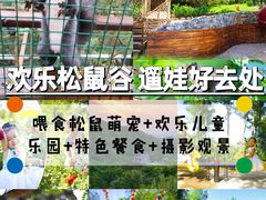 -欢乐松鼠谷