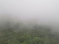 -七仙岭温泉国家森林公园