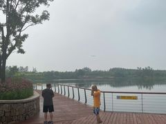 -东郊湿地公园