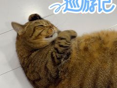 -Best U照相馆证件照(南京西路店)
