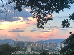 -风云岭森林公园