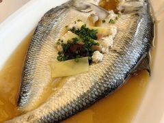 -莆鑫海鲜城(浏河店)