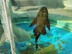 -南宁市动物园
