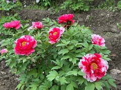 -江南大学(蠡湖校区)