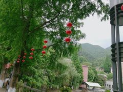 -遂昌金矿国家矿山公园