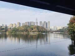 -重庆彩云湖湿地公园