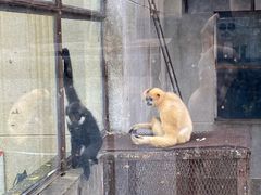 -昆明动物园