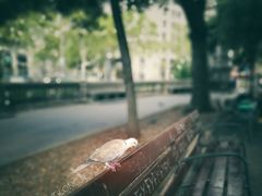 -加泰罗尼亚广场