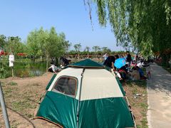 -同銮特种养殖场·龙虾垂钓