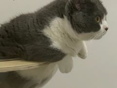 -佳雯宠物医院·皮肤科·内外科(春晓路分院)