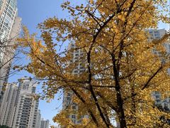 -苏州河梦清园环保主题公园