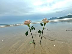-桃花岛风景旅游区
