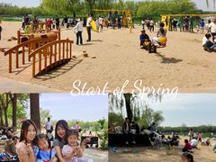 -大兴滨河森林公园