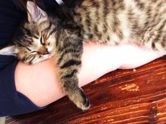 -么么咖啡(燕郊店)