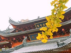 -上海东林寺(金山区)