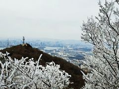 -紫金山山顶公园