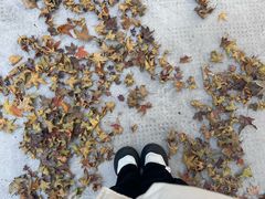 -杭州电子科技大学(下沙校区)