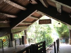 -东部华侨城
