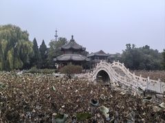 -莲池书院博物馆