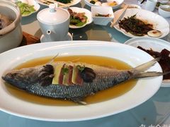 -张生记(丁香国际店)
