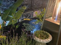 -肴约·花园式餐厅(湖里店)