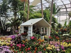 -北京植物园-展览温室