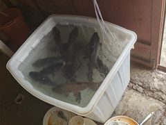 -阿葉农家饭店