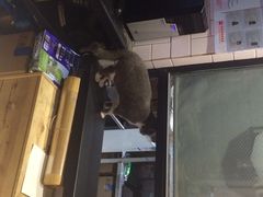 Mikaku-MIKAKU(万达广场上海宝山店)