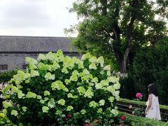 -张学良旧居陈列馆
