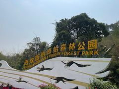 -西双版纳原始森林公园
