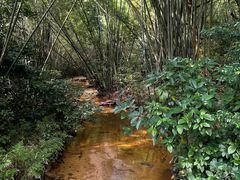 -广州市白云山风景名胜区