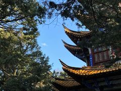 -昆明市金殿名胜区