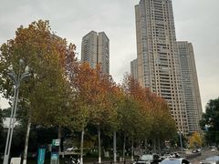 -重庆市江北嘴中央商务区中央公园