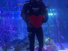 -沈阳海洋探索中心