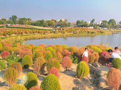-径山花海