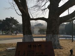 -二一九公园