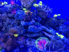 -成都浩海立方海洋公园