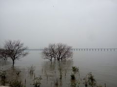 -宝安西湾红树林湿地公园