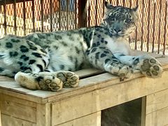 -青藏高原野生动物园