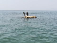 -大理洱海