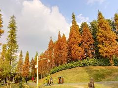 -白鹭湾湿地公园