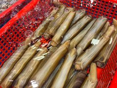 -飞尝蚝·顺德菜·鱼生(顺德总店)