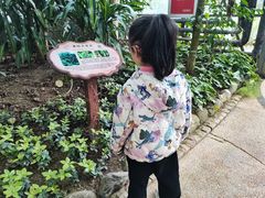 -南山植物园
