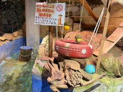 -正佳雨林生态植物园