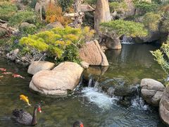 -罗红摄影艺术馆