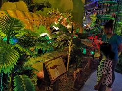 -恐龙探索乐园(磁器口店)