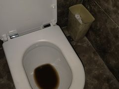 -河源万绿湖美思威尔顿酒店