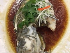 -明香海鲜酒家(华强北店)
