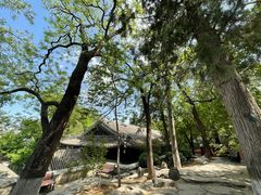 -大觉寺-停车场